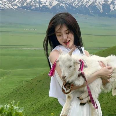 兔子和蜥蜴